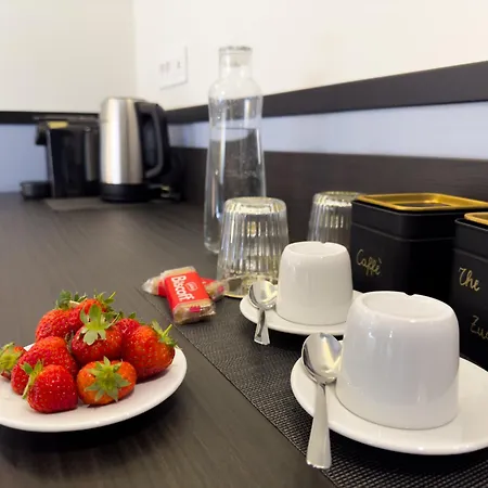 Vatican Domus Stefania 招待所 4*